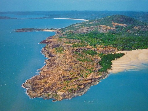 CapeYorkArien