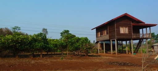 kfé6