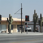 Saguaro au carrefour !