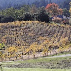 Jack London Farm