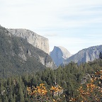 Yosemit