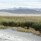 DV Tecopa