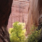 Burr trail