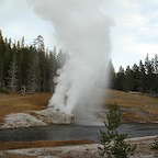 Yellowstone NP