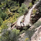 *Zion nat. parc