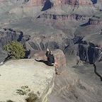 Grand Canyon, AZ