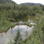 barrage castor, BC