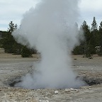 Yellowstone