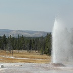 Yellowstone