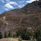 * Pisac terrasses P