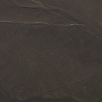 *Nasca, le singe