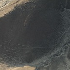 *Nasca, l'oiseau