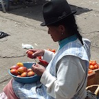 tomates d'arbres Saquisili, Eq