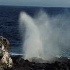 *trou d'eau Espagnola