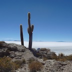 *dsert de sel Uyuni