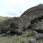 *moa tomb face terre