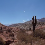 *Los Cardones, Ar