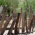 *palissade en bois de cactus Ar