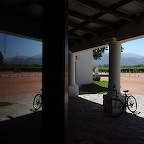 *vignoble Cafayate Ar