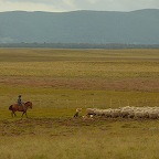 *gaucho en TdeFeu