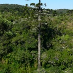 *parc ApparadoSerra