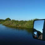 *Pantanal, passage de pont