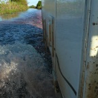 *Pantanal, en arrire