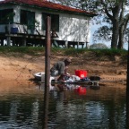 *lavage, Pantanal