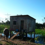 *Pantanal les pieds dans l'eau