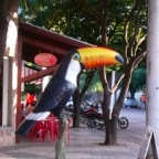 *toucan phonique