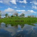 *Pantanal