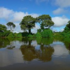 *Pantanal