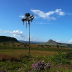 * 50km NE Brasilia