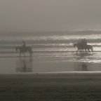 *petit matin, Uruguay