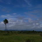 *perte de vue GSabana