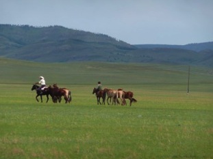 gauchos mongols