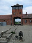 Birkenau, entre