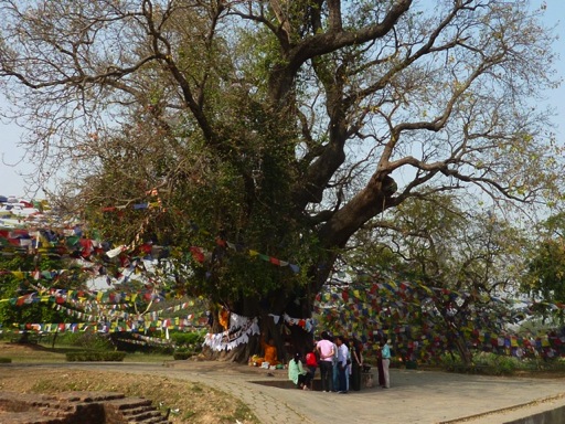 lumbini2