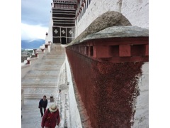 potala24