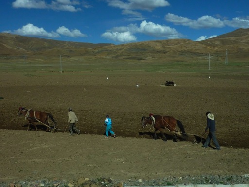 tibet29